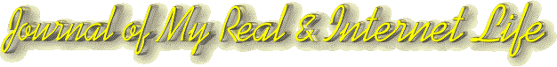 Journal of My Real & Internet Life